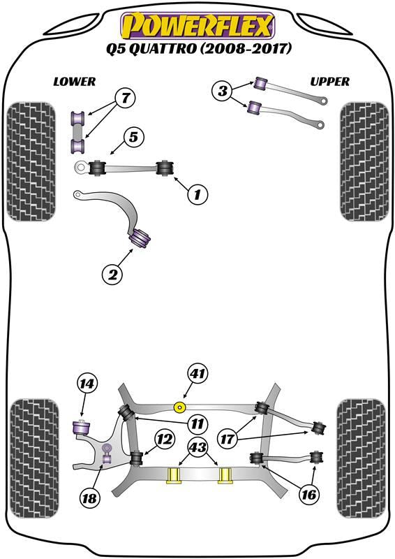 For Audi Q5 Quattro 2008-2017 PowerFlex Front Lower Radius Arm to Chassis Bush